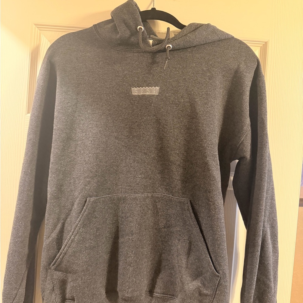 TEAMSESH Box logo hoodie